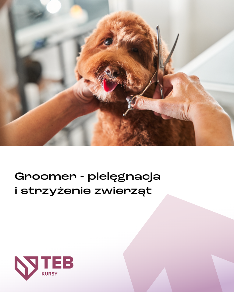 GROOMER – Pielęgnacja i strzyżenie zwierząt