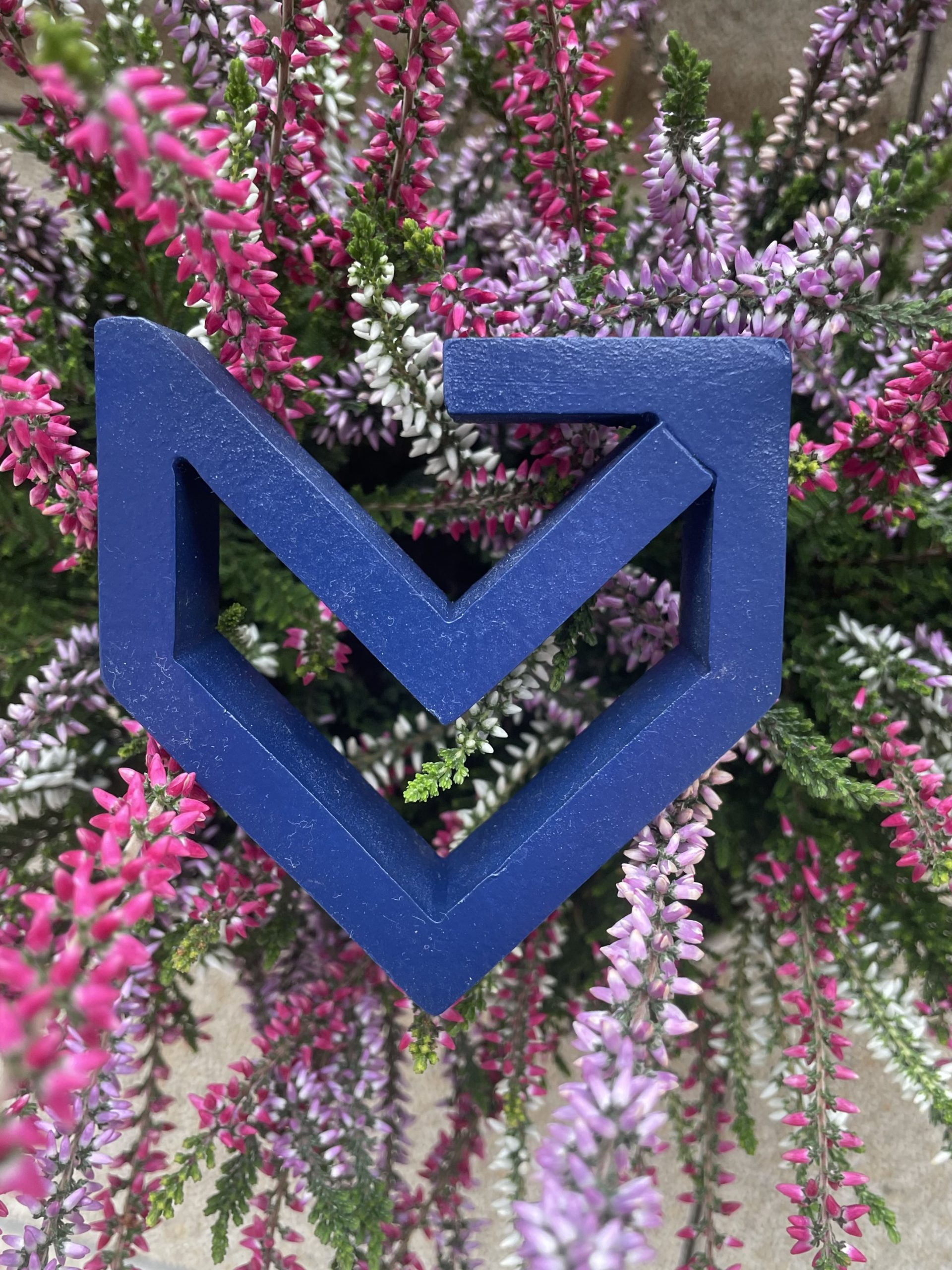 ZIMOWA REKRUTACJA RUSZYŁA!